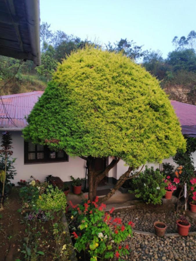 Rheinberg Town Haus Munnar Exterior foto