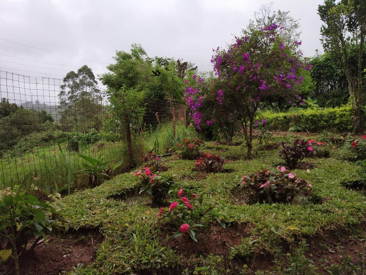 Rheinberg Town Haus Munnar Exterior foto
